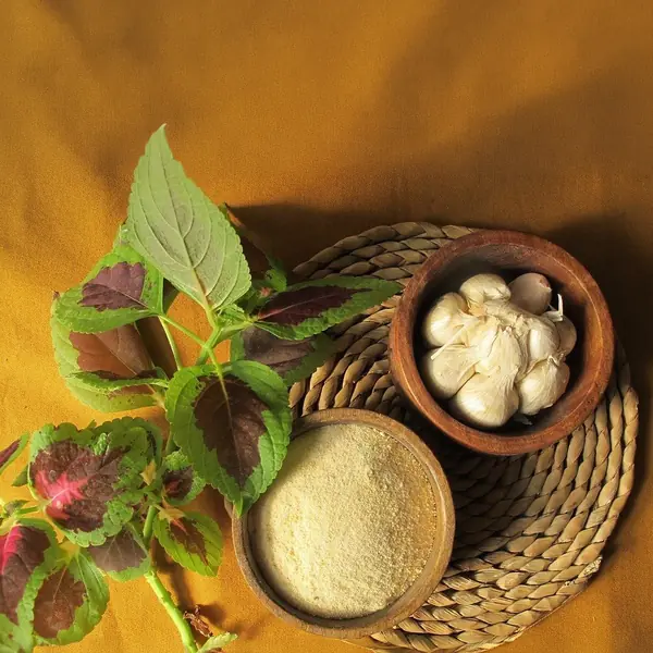 پودر سیر